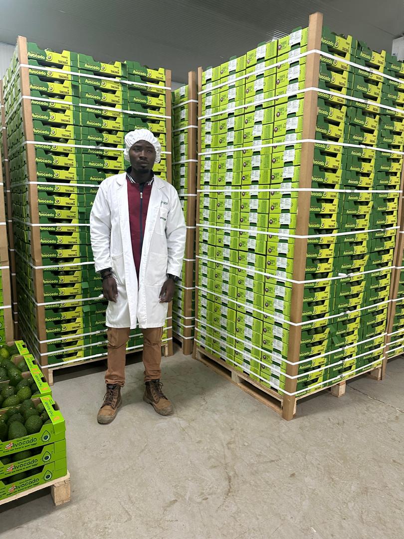 Avocado Processing