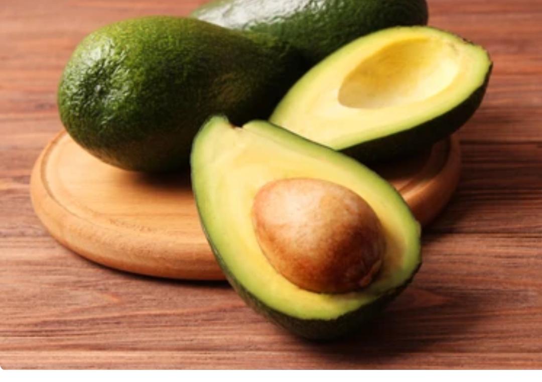 Avocado Orchard