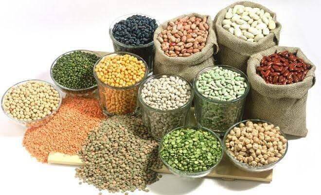 Legumes Field
