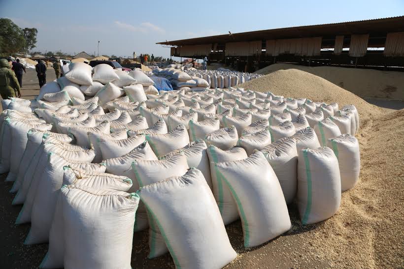 Maize Luggage