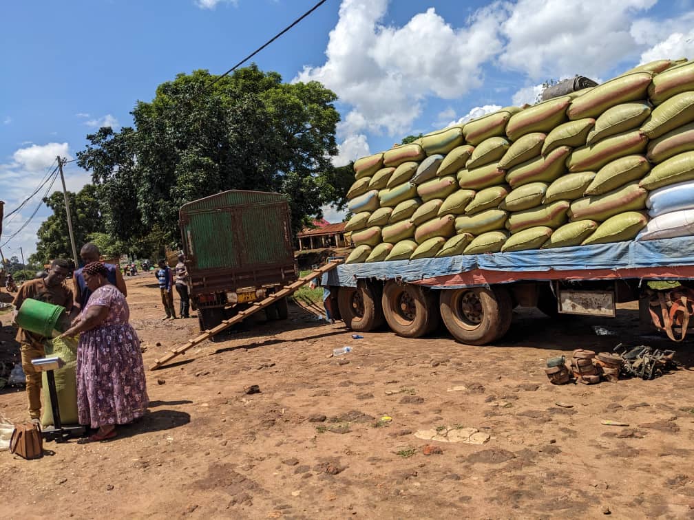 Maize Transport